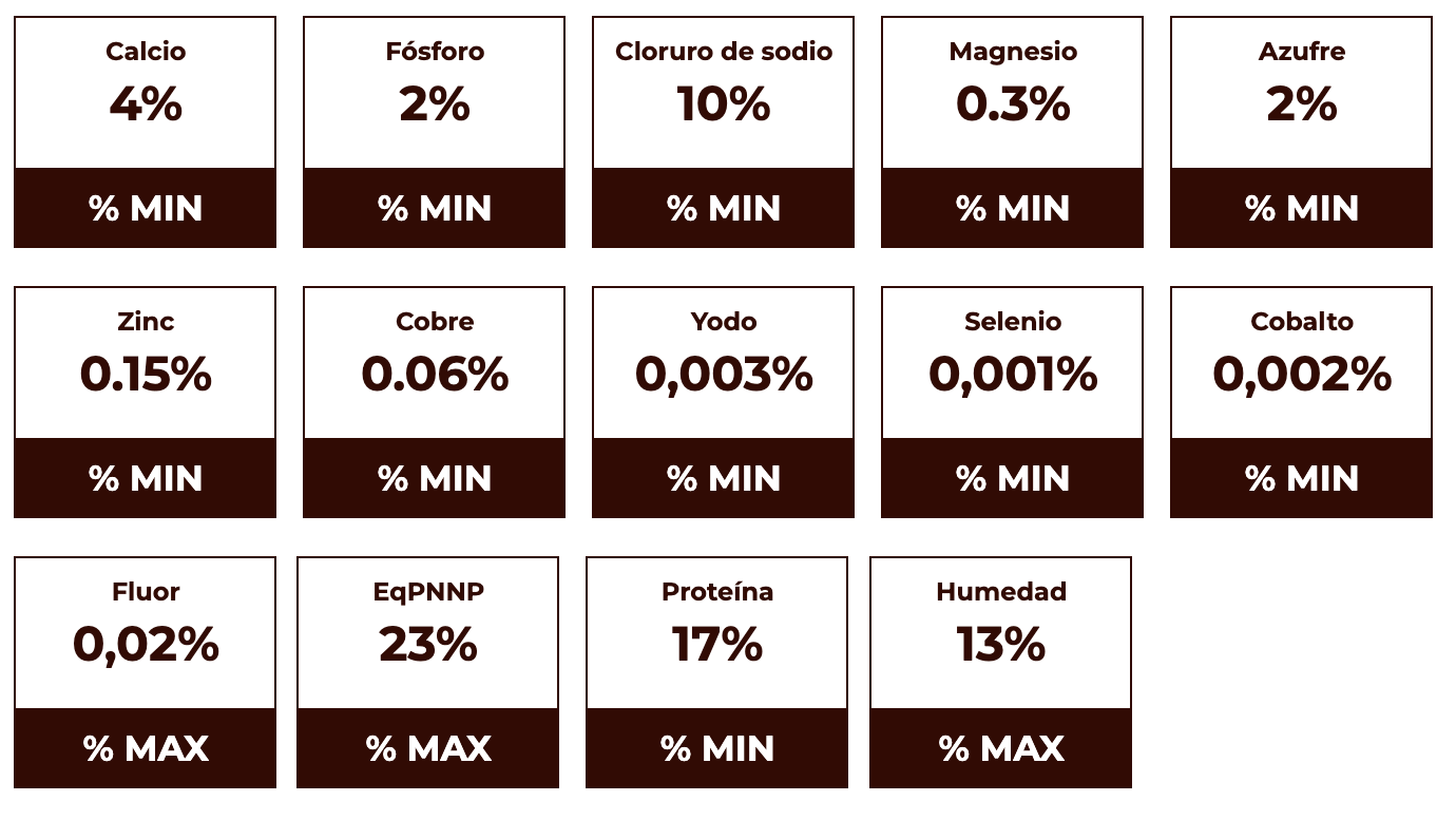 Maxipro levante/ceba carne